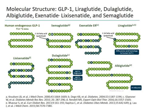 Molecular structures of the three main GLP-1 weight loss active ingredients — semaglutide (Wegovy, Ozempic), tirzepatide (Zepbound, Mounjaro), and liraglutide (Saxenda) — showing the peptide modifications that extend half-life and receptor binding