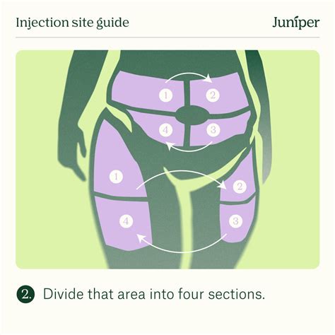 Weekly Wegovy injection site rotation diagram showing the abdomen, the front of either thigh, and the back of the upper arm — rotation prevents lipohypertrophy and injection-site fatigue